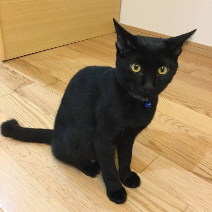 C63cad5b 52c7 417b 8258 f480dd618b45