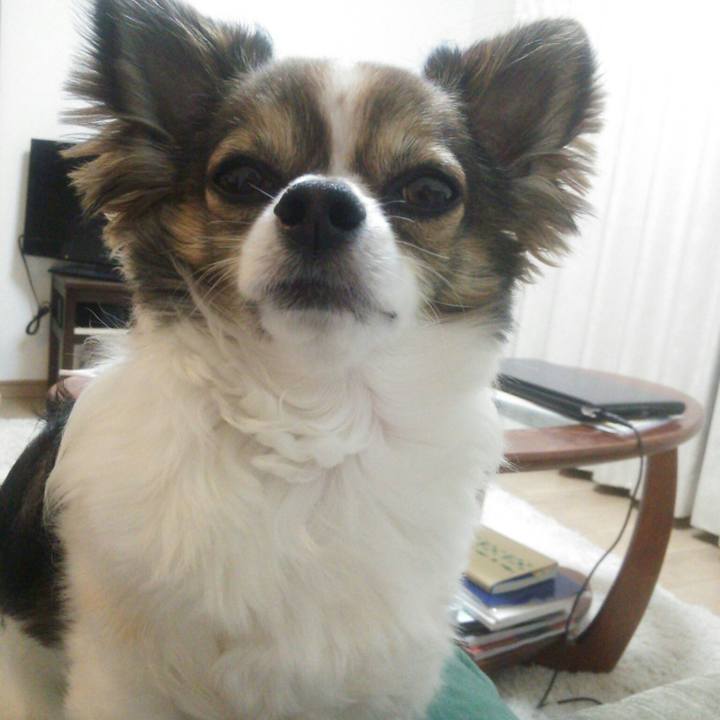 C63cf153 c756 4d92 8a4d d125f5e692b2