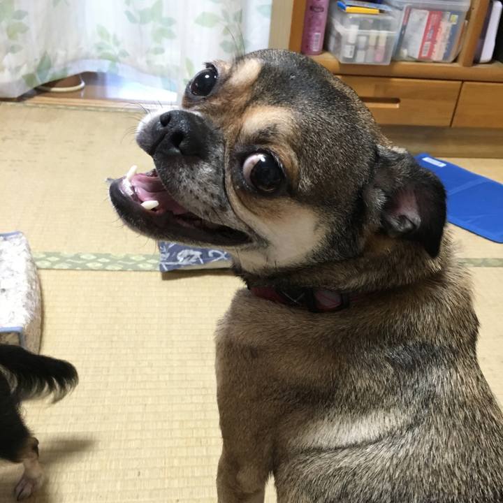 C63d09a6 8ebd 4064 b890 6b153ef978be