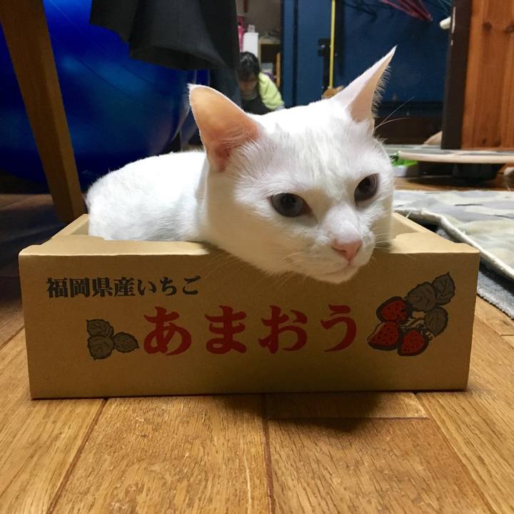 C63d5fa6 ceb4 48e1 9945 5673b8bc5bcb