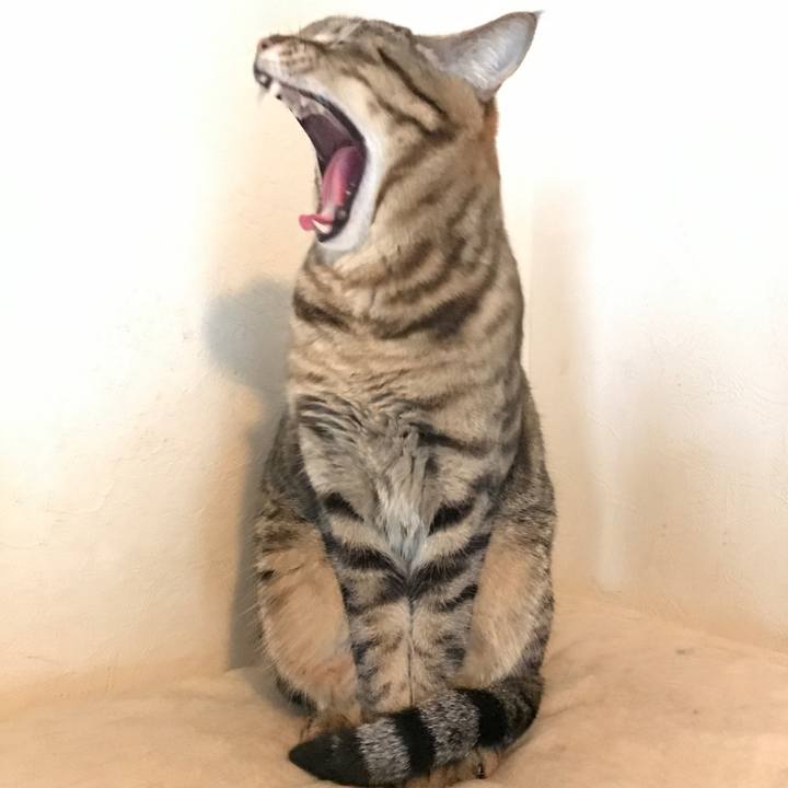 C63e9f9f 2056 4753 adab b563cf7637de