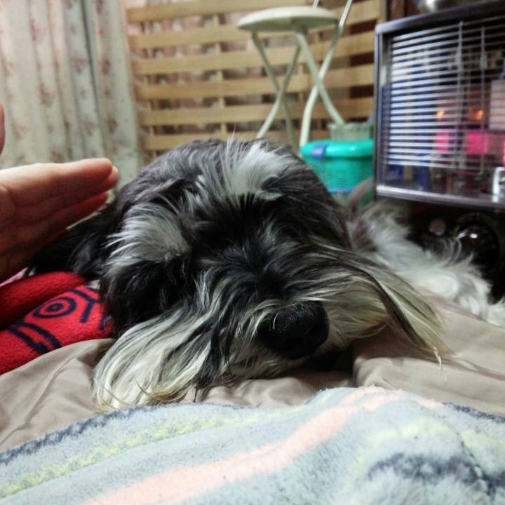 C63f2750 1dfb 4eff 879b 340798a403c4