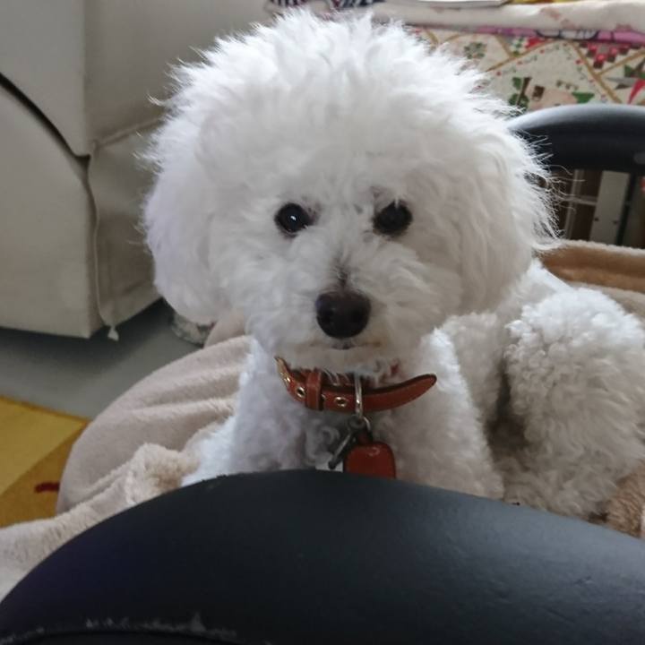 C63fc50a 49ec 4f8e 8795 97142c8c1426