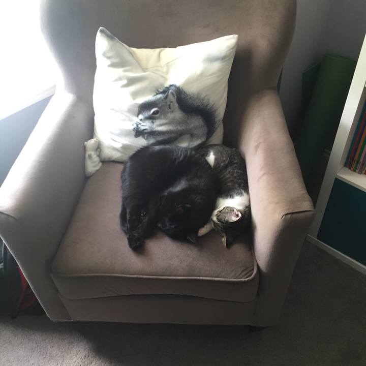 C63ff2e6 f7af 4fb3 8c00 b0e94582be22