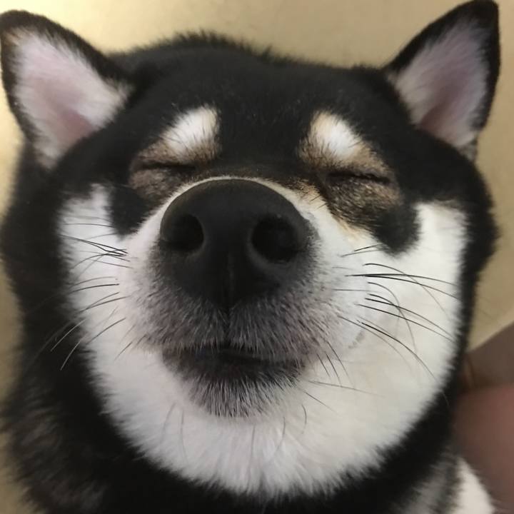 C6402b11 a29c 45b7 b210 5e9041be562b