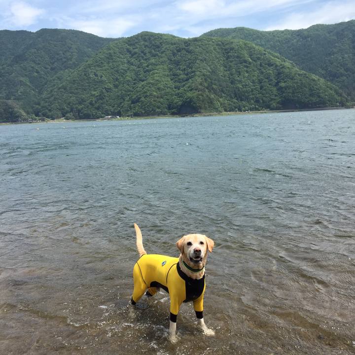 C6414a35 d359 4818 b60d 140f95602e29