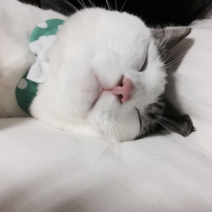 C6432fa2 0894 4e3f 8ba8 1d6bc5582bbb