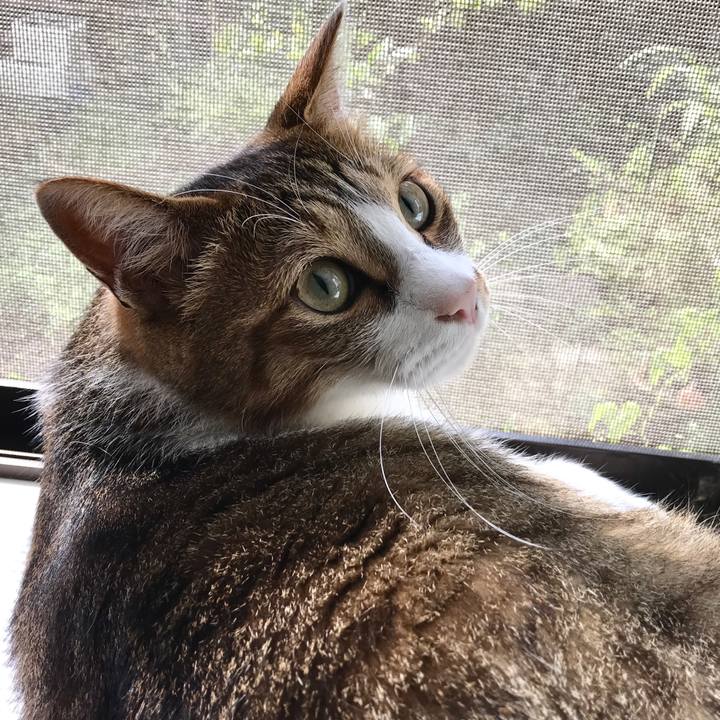 C6449c74 3044 48cd aeaa 4522836d52fb