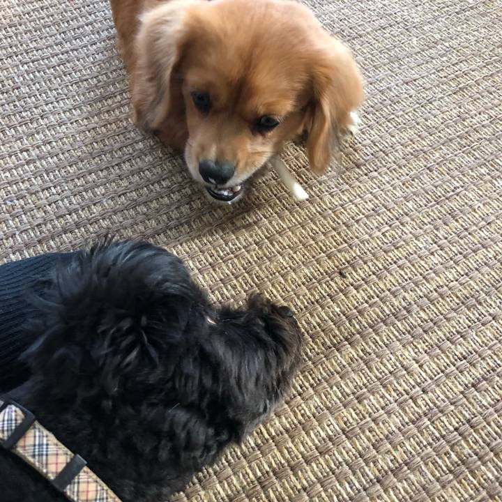 C644e2c4 d562 4e42 be36 1b9dd10f670f