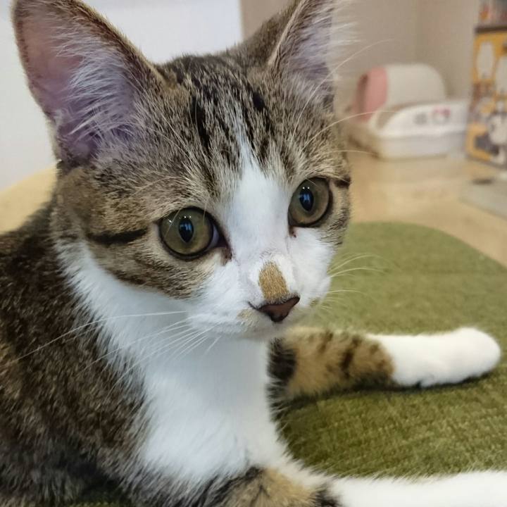 C6466446 cee5 4f86 a319 0669f3a116af