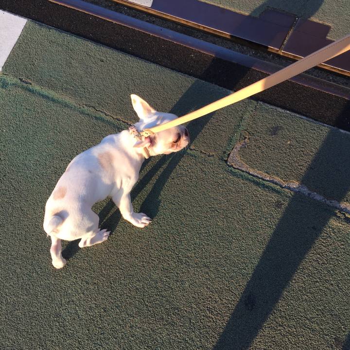 C6468abc f3f7 4b39 bb56 f312e35baab0