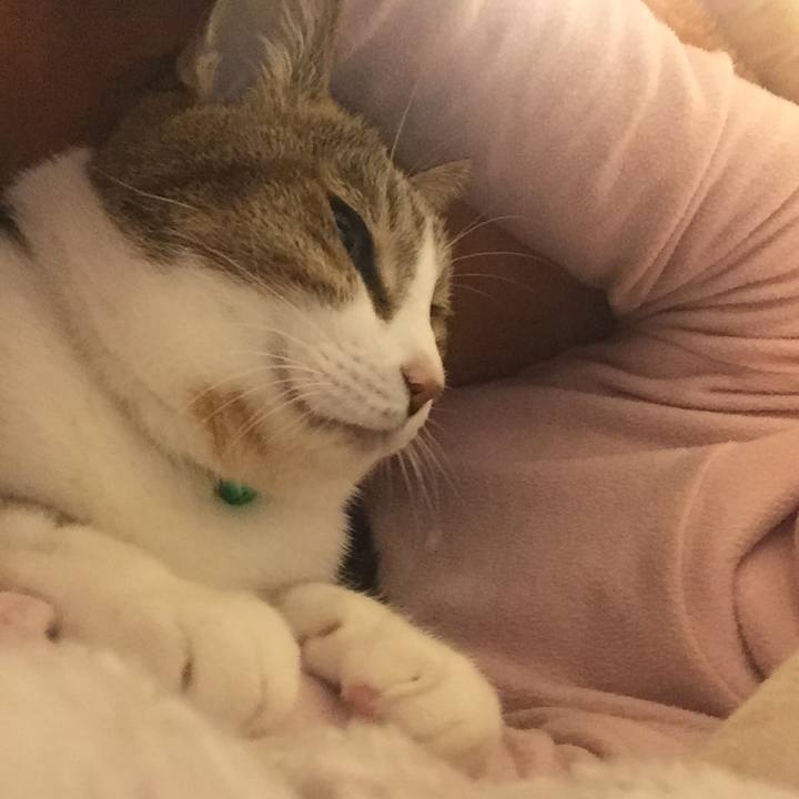 C6472d91 5b69 4ac4 b014 df50249797a3