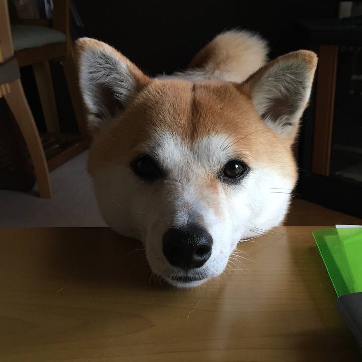 C6473846 0b1e 400a ae52 e82ab38372a6