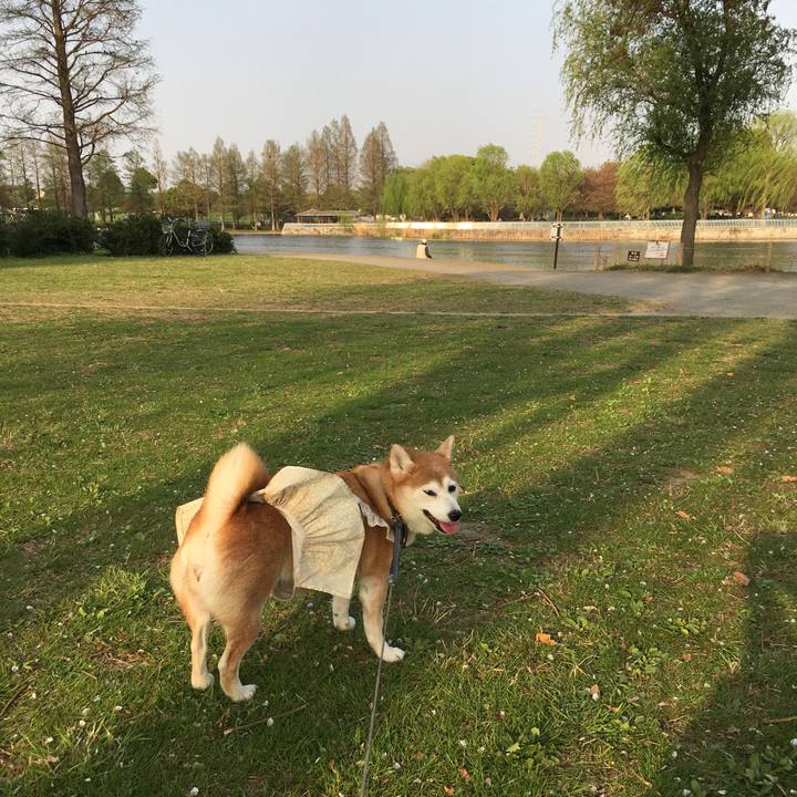 C647476d b871 45b9 9b20 d2b3d0958c55