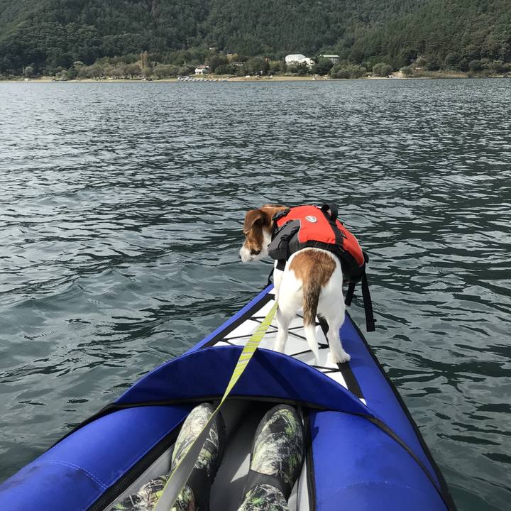 C64752ee 4a2e 4866 a3ae 8eff0f909e5d