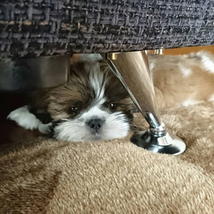 C6475ad8 26bb 406d 81e2 5658e00dd8e1