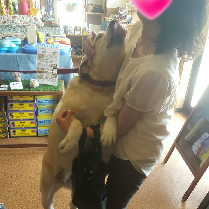 C6479299 e473 4299 91e7 8f44b55cba3c