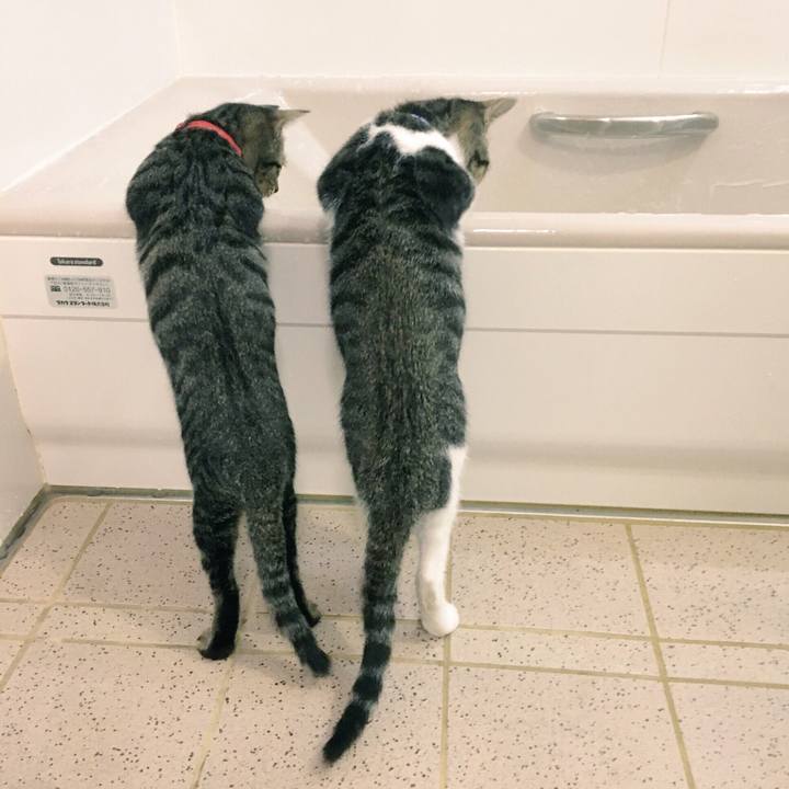 C647a582 4be7 4b8b 9bcb 91b373659813