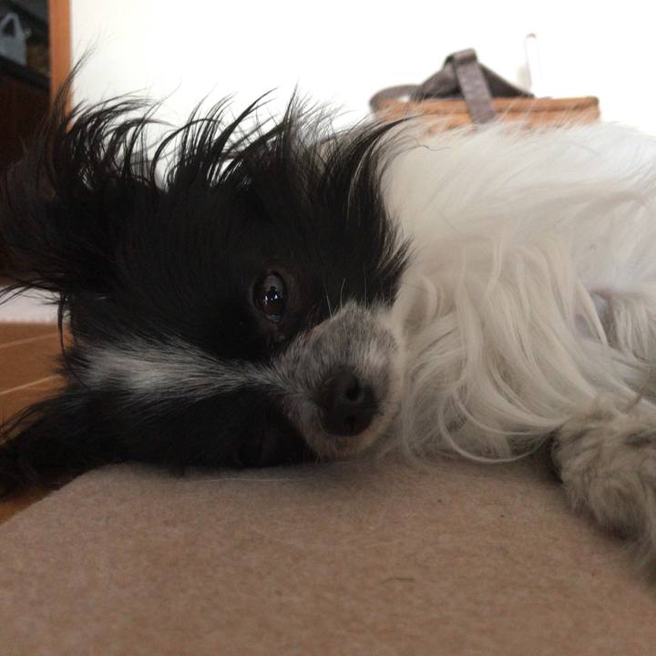 C6485048 9598 4e3e 8b3b f4ad0863b48e