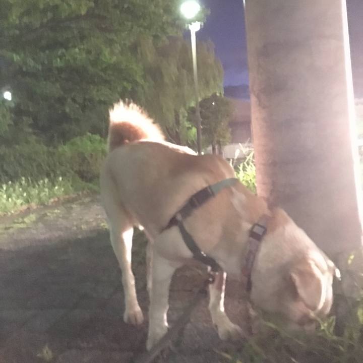 C64926f1 f2a1 413a b67c e7a30833f3dd