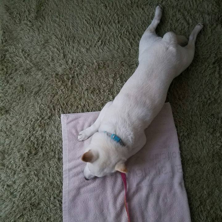 C64939bf e44f 4031 87f1 92743cf5cb35