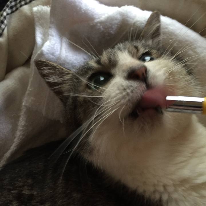 C6494c6f 4259 433f 8e36 27adb8540a70