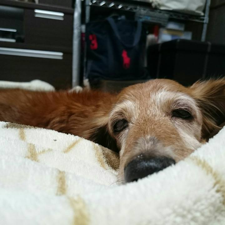 C6499b35 9840 48ef ba0c 3dfae3808475