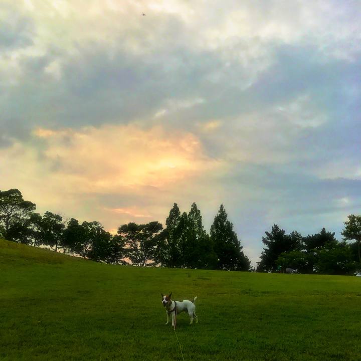 C64a6a93 266d 46f0 b19a e22e85dcbaa1