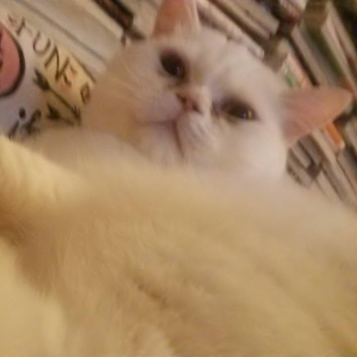 C64ae661 12a0 45cc a14d 5e38d54e7bf0