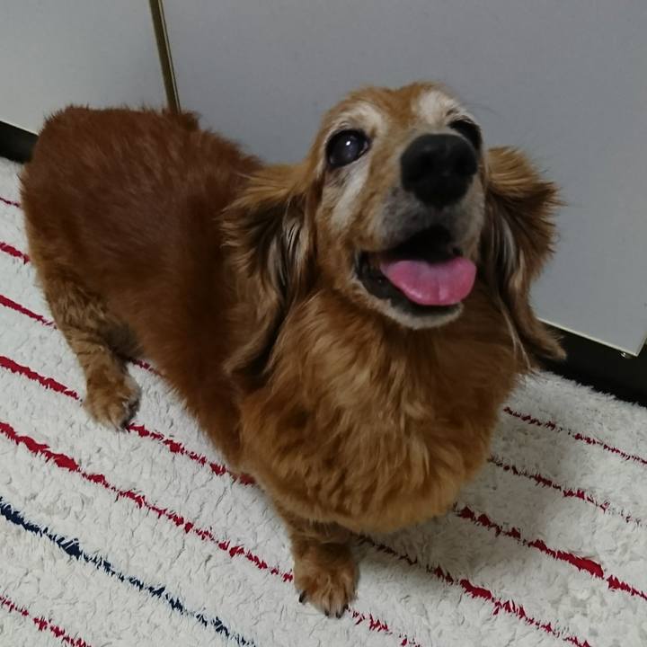 C64bb714 d0d8 4ae5 987e 1cb32a548621