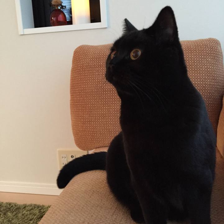 C64bbc32 63ed 4ada 9973 6558825c88ca