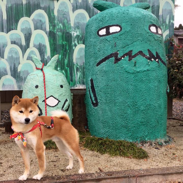 C64bc7d9 78e0 4bd4 8a55 aa38aab3b59b