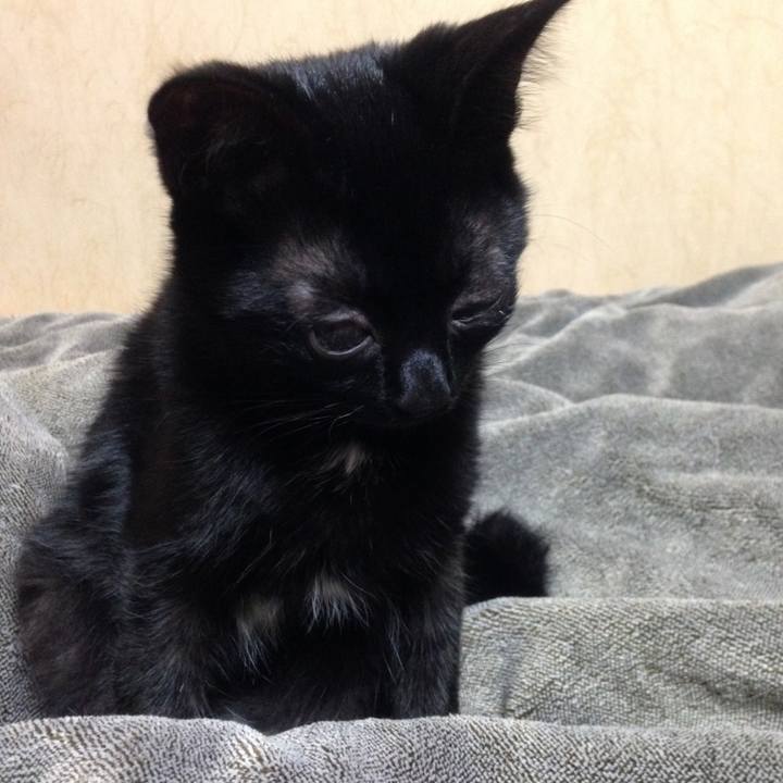 C64c343b 9579 4939 b745 a18e4d5340ab