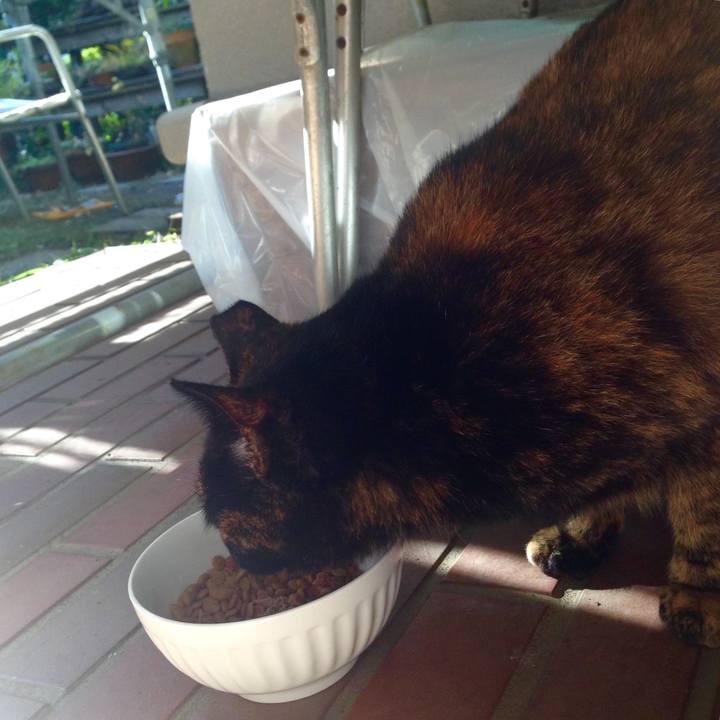 C64c65da 1760 49f8 8d24 d16932bc721d