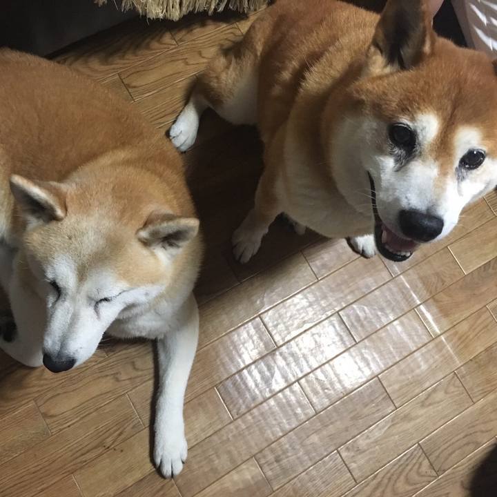 C64e0ac8 dcaa 4408 94f2 4c3cc610d1ba