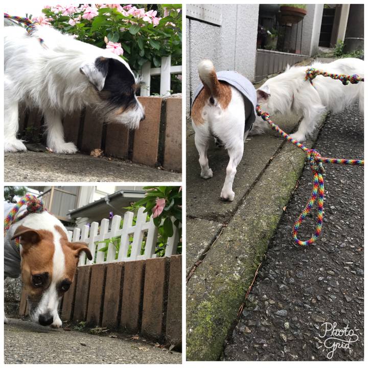 C64e269e d2ce 440d a522 c6af68dd570c