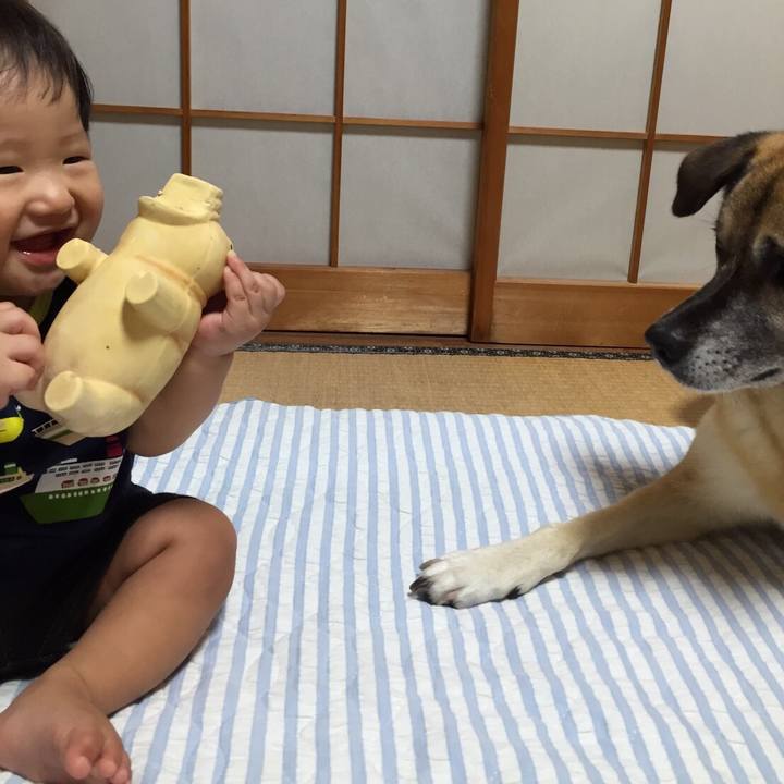 C64e32d9 4706 4bc6 b26d 58e2f118970c