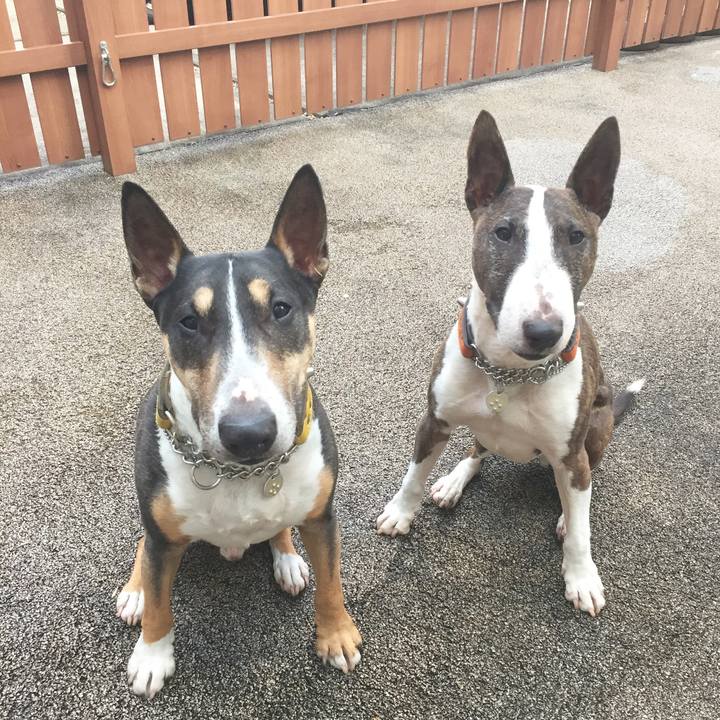 C64e804a 37f1 48d5 a0ad 7cd3281d3511