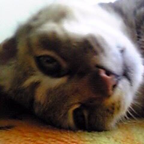 C64ec585 6ef5 42c5 bf15 9578e7b31a81