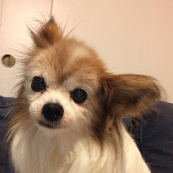 C64f2118 21ce 4da9 960f dd082aa80fdd