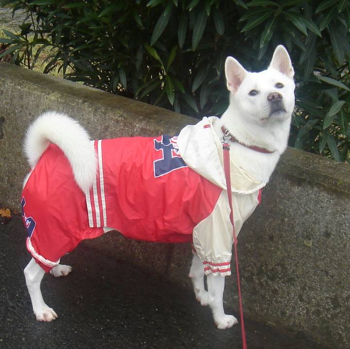 C64f2a29 07af 4afc 8cc6 e537ba9af304