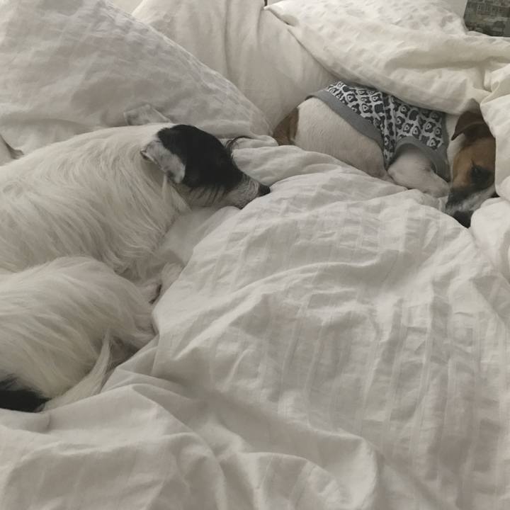 C64f8cd2 8443 4c5c 9268 41af6a2ef47b