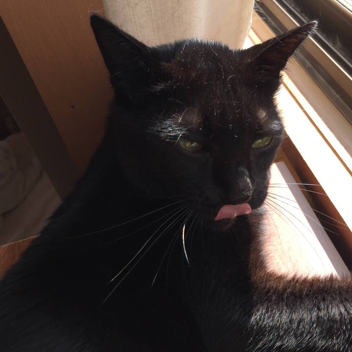 C64fdb34 35c4 443b abbc 513e94cc68b2