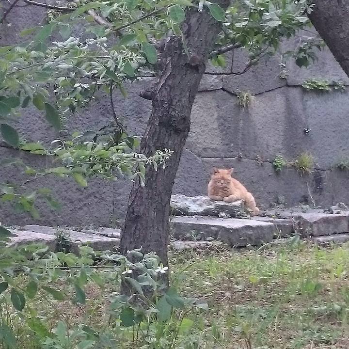 C6508ee5 bf62 4771 829b d0ddbac24c14