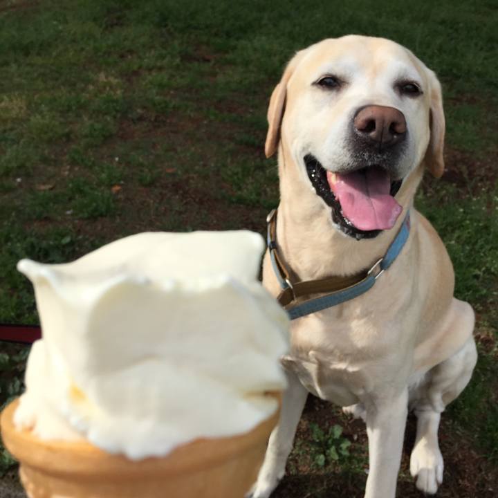 C651194f 0bba 46c6 827c fa01ad82763d