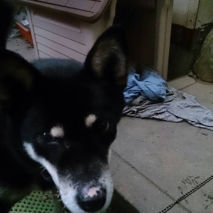 C6516536 955a 48ed 90b9 441c1cc4f9d4