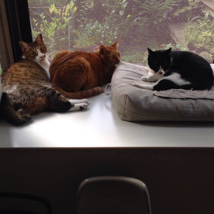 C651cd5c 816d 48fc 8966 87a3410b14cb