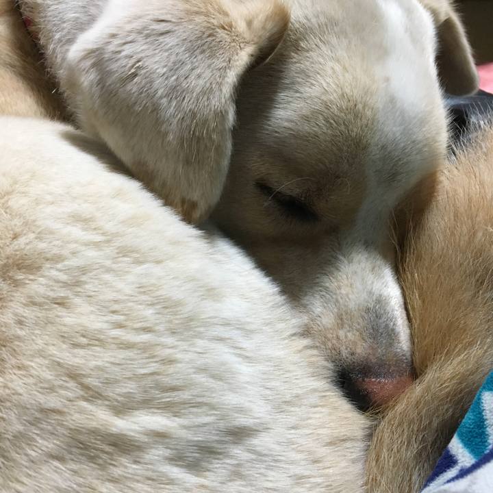 C6525d59 4e0e 4255 b829 b78e5623c08b