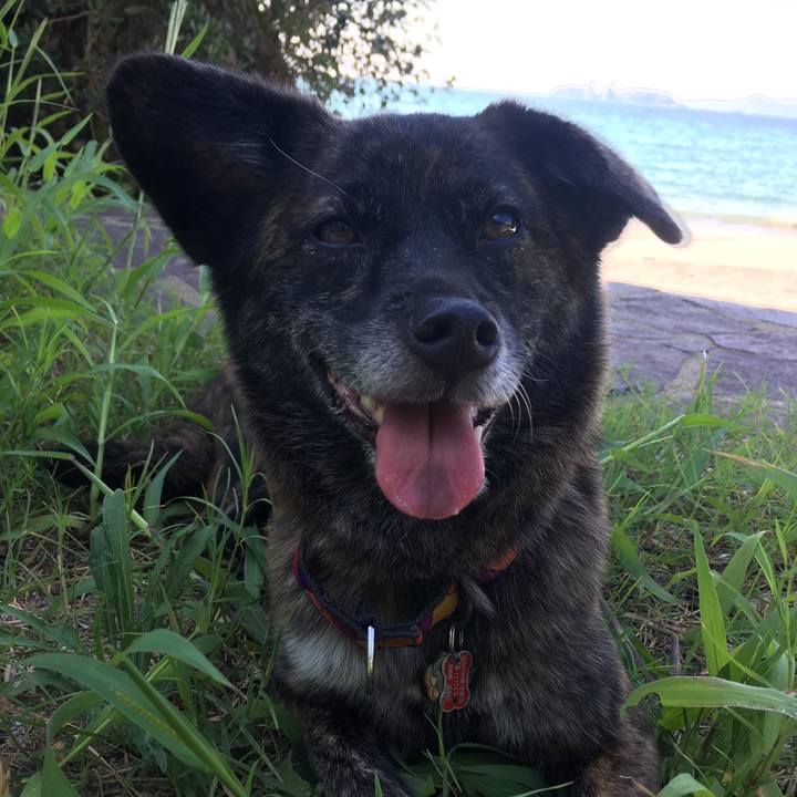 C6527c56 73cc 47d3 9bac a2aac5de09a1