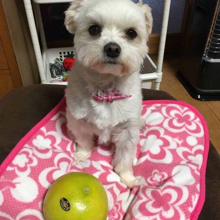 C65381e0 7daa 4ccd b583 bc536e07dced